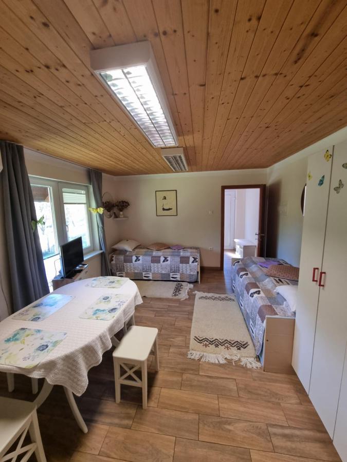 Dobra Hisa Zdravja Cicarija Golac Exterior foto